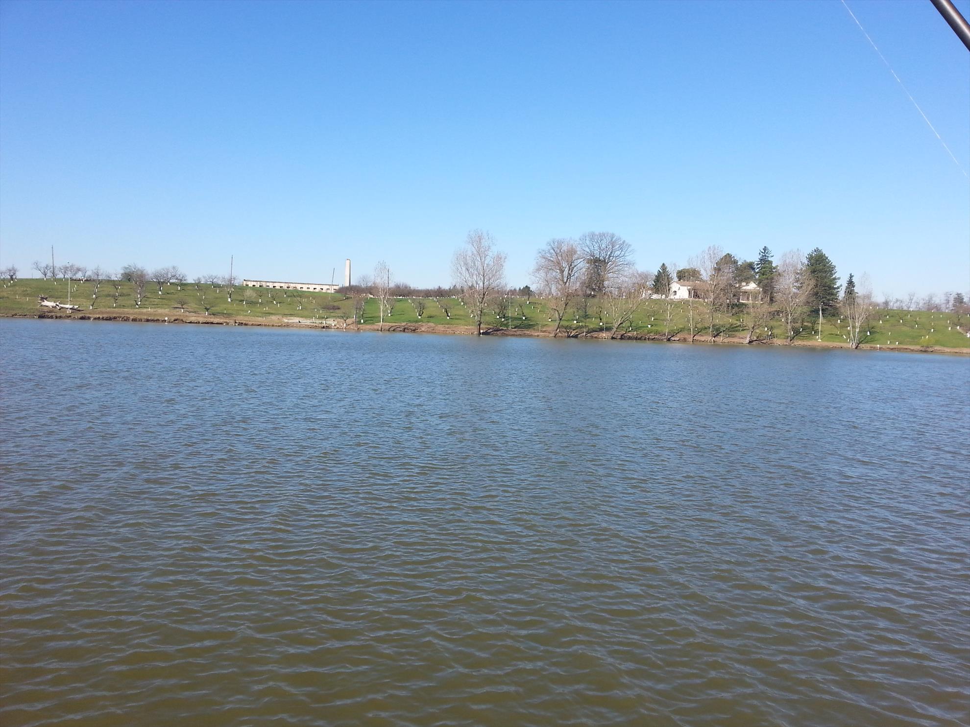 Hermes Peris 3 - 4 aprilie 2015 - 201504041022041.jpg